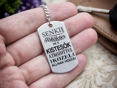 Senki sem tökéletes de a kistesók acél medálos kulcstartó