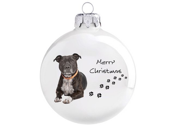 Staffordshire terrier - Karácsonyfadísz