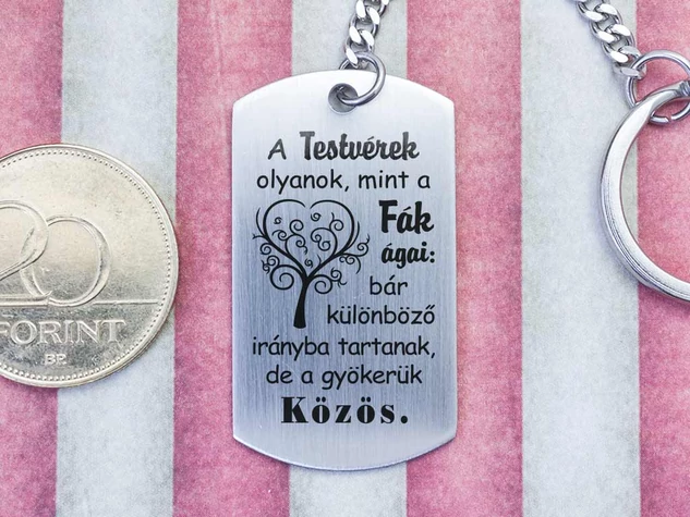 A testvérek olyanok acél medálos kulcstartó