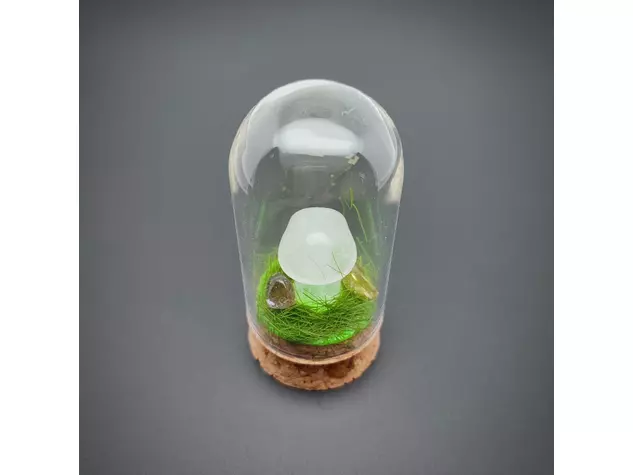 Gomba hegyikristály üvegben 3x6,5cm