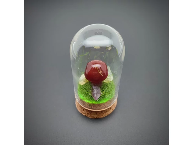 Gomba karneol üvegben 3x6,5cm